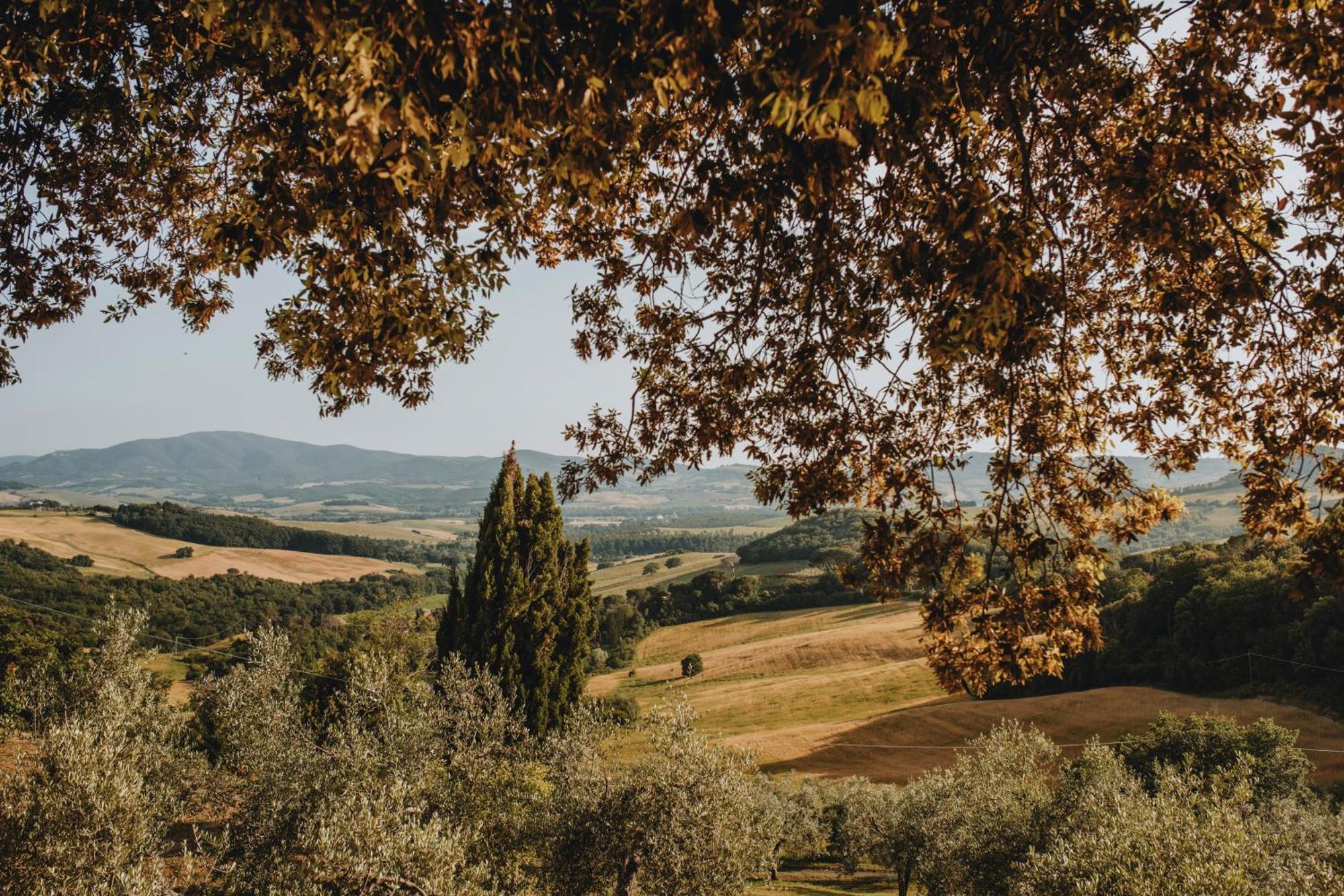Tenuta Mocajo Guardistallo Luaran gambar